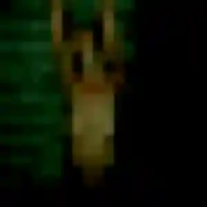 Photo perso de Modupe, 40 ans à Jolimetz - plan discret