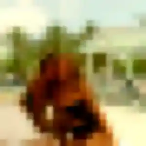 Contacte Perpétue, 37 ans à Jonzieux en privé