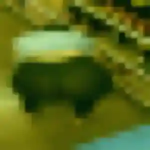 Belle Adja, 41 ans à Juvignac - découvrir son profil