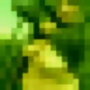 Fanny, 44 ans, en ligne à Kani-Kéli pour un plan cul