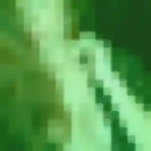 Issa, 45 ans, connectée à Kernouës pour une rencontre coquine