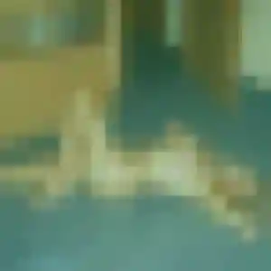 Rosalie, 31 ans, dispo pour plan cul à Kervignac