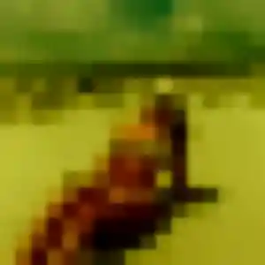 Photo exclusive de Yolène, 25 ans à Kingersheim - rencontre coquine