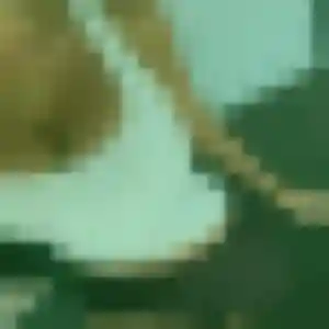 Gnilane (35 ans) à L'Orbrie propose une rencontre aujourd'hui