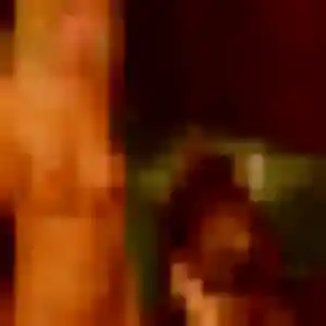 Nassira (33 ans) à La Bazouge-du-Désert propose un plan cul ce soir