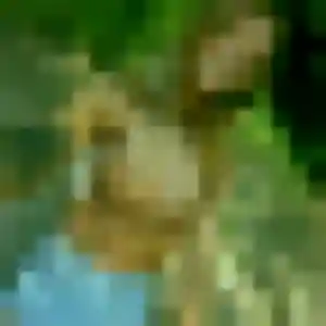 Photo sexy de Stacy, 29 ans à La Buisse - plan discret