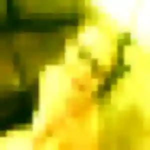 Rencontre Olive, 26 ans à La Celle-les-Bordes gratuitement