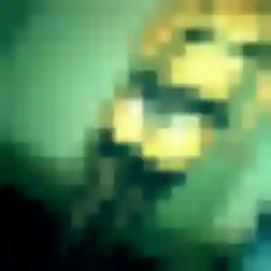 Rejoins Suzanne, 23 ans à La Chambre en t'inscrivant