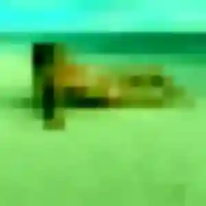 Adunni, 40 ans, en ligne à La Chapelle-des-Pots pour une rencontre coquine