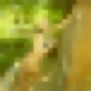 Félicité, 45 ans, dispo pour plan cul à La Chapelle-Gonaguet