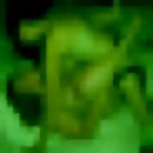 Photo de Fanta à La Chapelle-Rablais (45 ans) - plan cul gratuit