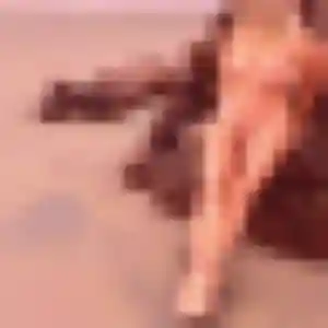 Safi, femme de 31 ans veut plan cul à La Chapelle-Saint-Martin-en-Plaine