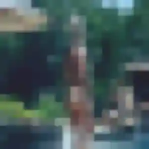 Photo de Nana à La Chapelle-Saint-Mesmin (34 ans) - plan cul anonyme
