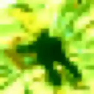 Sonia, 44 ans, dispo pour plan cul à La Chapelle-Saint-Sauveur