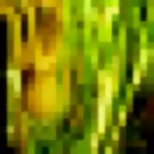 plan cul à La Crèche : profil de Sylvie, 37 ans - accès libre