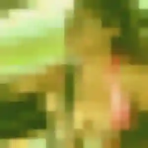 Gladys, 27 ans, disponible à La Croix-Helléan pour une rencontre coquine