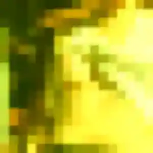 Naïma, 38 ans, veut un plan cul à La Devise