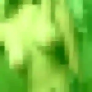 Jolie Yolène, 45 ans à La Forest-Landerneau - découvrir son profil