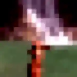 Photo sexy de Adaora, 27 ans à La Frette - rencontre sans lendemain