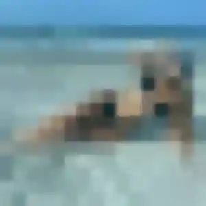 Photo perso de Charline, 38 ans à La Grande-Motte - rencontre coquine