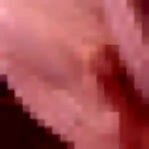 Precious, 29 ans, cherche un plan cul à La Gresle