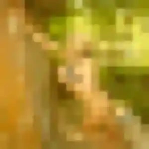 Photo perso de Naïma, 28 ans à La Martyre - rencontre coquine