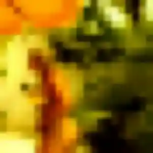 Zélie, 25 ans, cherche un plan cul à La Neuville