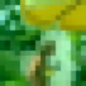 Photo exclusive de Rebecca, 36 ans à La Roche-l'Abeille - rencontre sans lendemain