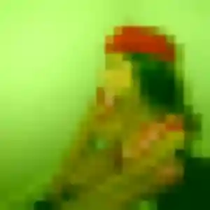 Photo sexy de Titi, 23 ans à La Roche-Maurice - rencontre sans lendemain