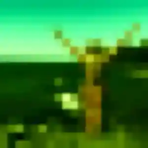 Isis, fille de 45 ans propose plan cul à La Roquebrussanne