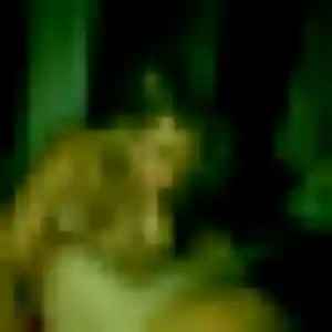 Jolie Ngoné, 37 ans à La Sauvetat - voir sa photo