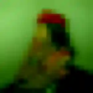 Découvre Amani, 29 ans à Labastide-Rouairoux gratuitement