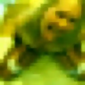 Saly, 37 ans, en ligne à Labourse pour un plan cul