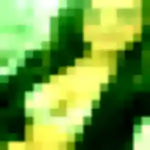 Rencontre Fama, 22 ans à Labry gratuitement