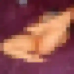 Sexy Ramata, 39 ans à Lacroix-Saint-Ouen - découvrir son profil