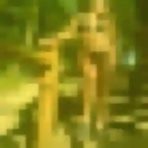 Adwoa, 42 ans, disponible à Lacs pour une rencontre coquine