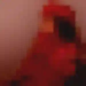 Contacte Naomie, 24 ans à Lamorlaye en t'inscrivant