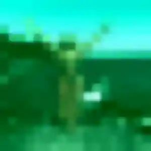 Profil de Issa à Lamothe-Capdeville (37 ans) - plan cul discret