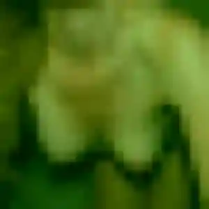 Nneka de Lampertsloch, 34 ans - plan cul en toute liberté