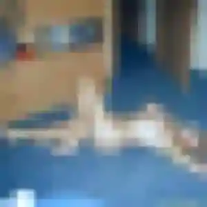 Rosalie, 38 ans, en ligne à Landrévarzec pour une rencontre coquine
