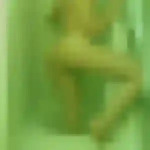 Profil de Mame à Landudal (29 ans) - plan cul gratuit