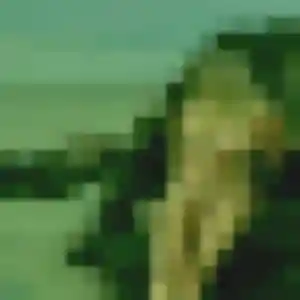 Charmante Odile, 35 ans à Landujan - la contacter