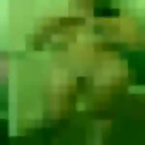 Wilda, 27 ans, veut un plan cul à Langan