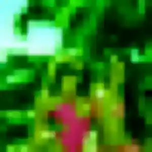 Sabrina, 34 ans, veut un plan cul à Lanobre