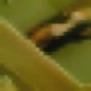 Véronique, 32 ans, dispo pour plan cul à Lantriac