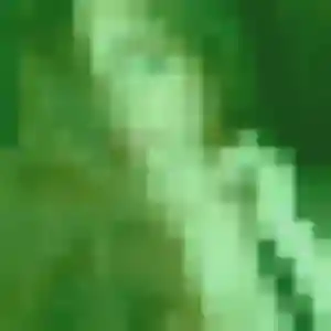 Contacte Noëlla, 24 ans à Laps gratuitement