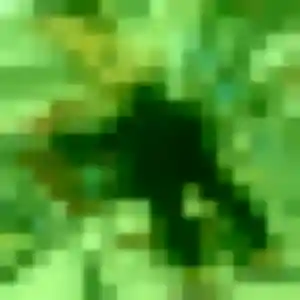 Sexy Dado, 43 ans à Laroque-Timbaut - la contacter