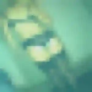 Esther, 35 ans, connectée à Laussonne pour une rencontre coquine
