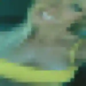 Photo privée de Afia, 32 ans à Lavalette - plan discret