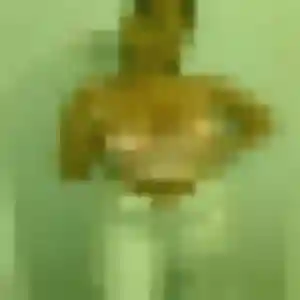 Profil de Exaucée à Lay-Saint-Christophe (24 ans) - plan cul anonyme